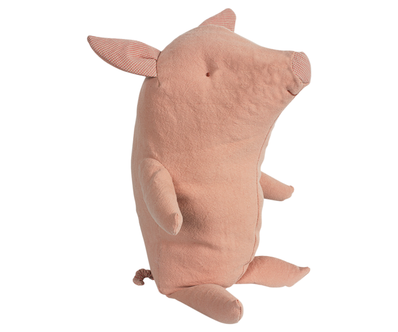 Schwein "Truffle"
