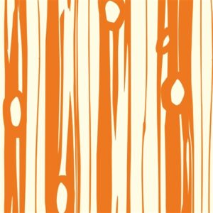 Birch Fabrics - Bear Camp - Bear Bois Orange