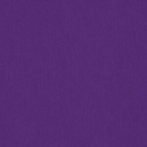 c.pauli Interlock - tilandsia purple