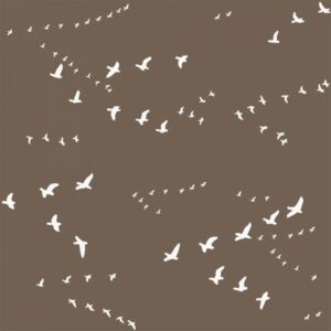 Birch Fabrics - Camp Sur 3 - Flight in Brown