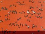 Birch Fabrics - Camp Sur 3 - Quail Run Coral Birch Fabrics - Camp Sur 3 - Quail Run Coral