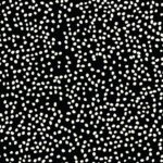 Birch Fabrics - Mods Basic 3 - Firefly Dots Black Birch Fabrics - Mods Basic 3 - Firefly Dots Black