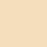 Birch Fabrics - Solid Knits - Shell Birch Fabrics - Solid Knits - Shell