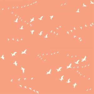 Bio-Baumwolle Birch Fabrics Birch Basics - Flight in peachy