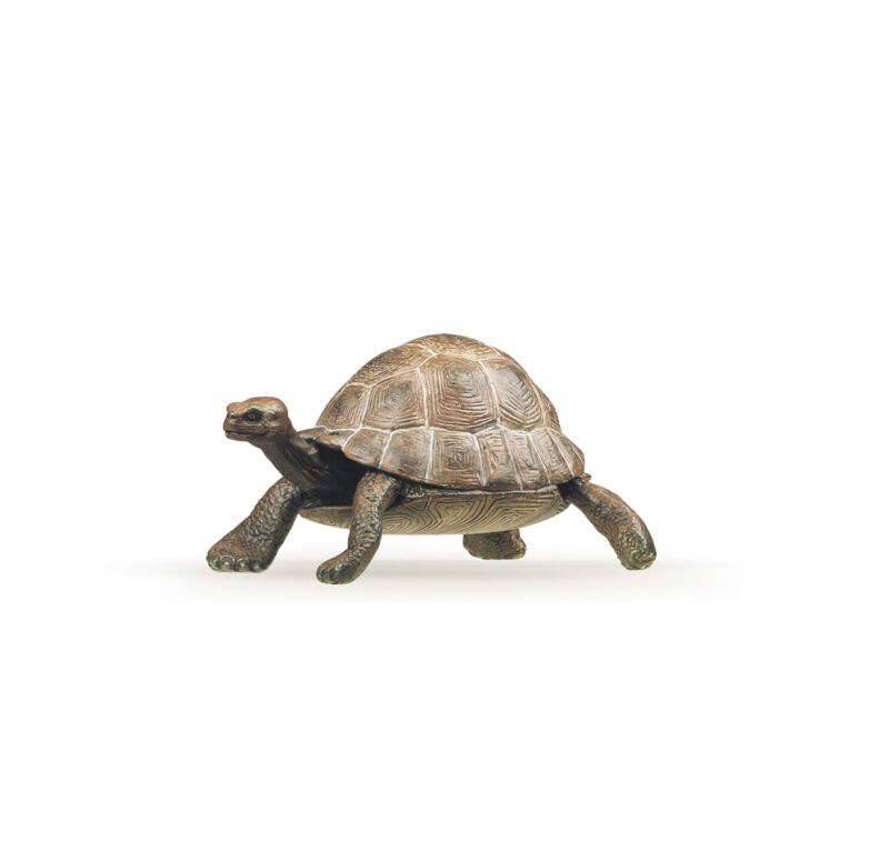 Papo Design - Schildkröte