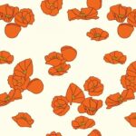 Birch Fabrics - Summer 62 - Cali Pop in cream