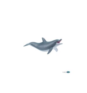 Playing dolphin