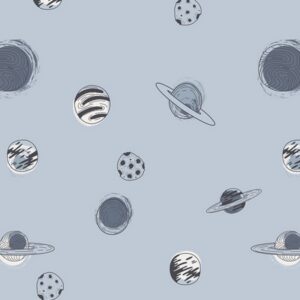 Art Gallery Fabrics - Stargazer - Planetarium