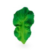 Oli&Carol - Kendall The Kale Oli&Carol - Kendall The Kale