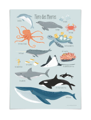 Vierundfünfzig Illustration - Poster DIN A3 - Tiere des Meeres