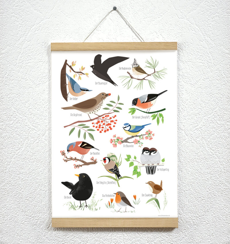 Poster "Heimische Vögel" - A3 – Bild 2