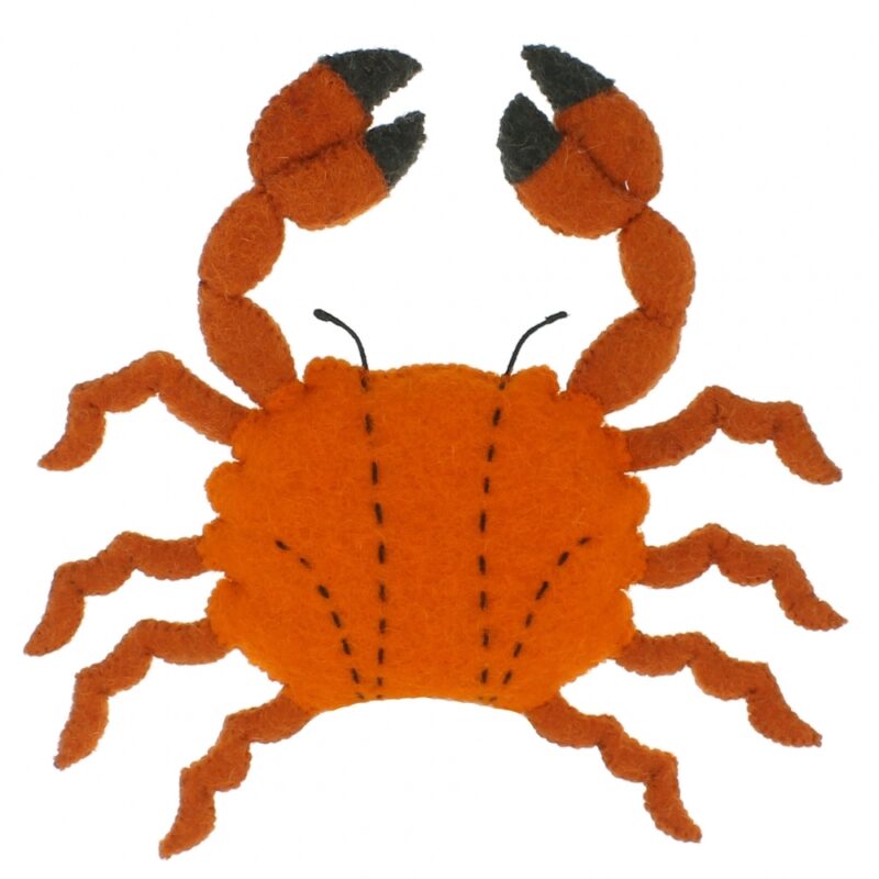 Fiona Walker - Crab