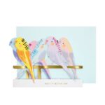 Meri Meri - Budgie Concertina Card