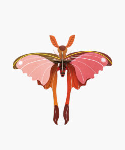 pink comet butterfly