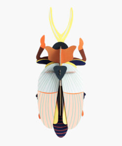 rhinoceros beetle