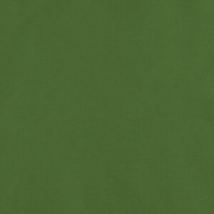 C.Pauli - Popeline fein medium green