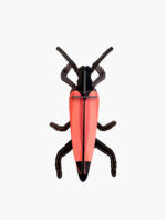 Studio ROOF - Longhorn Beetle