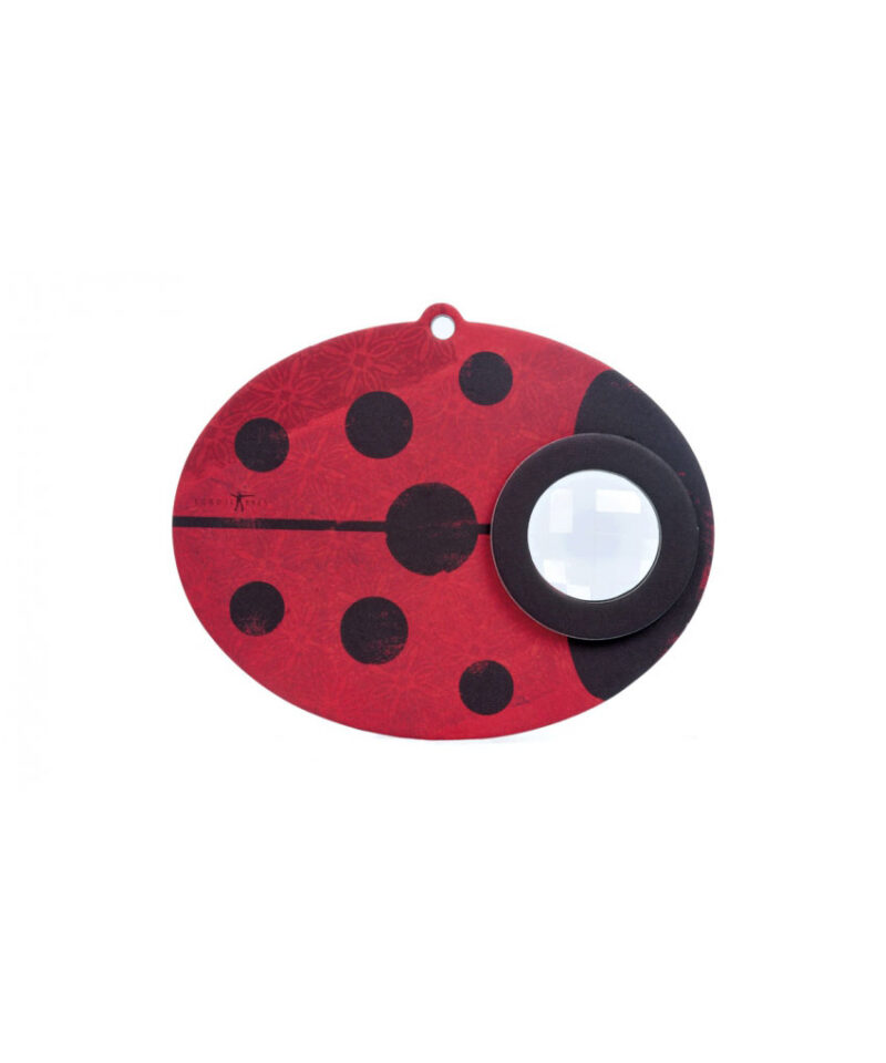 Insect Eye Kaleidoscope "Ladybird"
