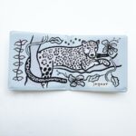 Color Me: Who's in the Rainforest?