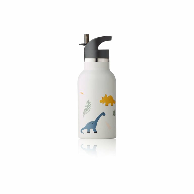 Anker Water Bottle - Dino mix