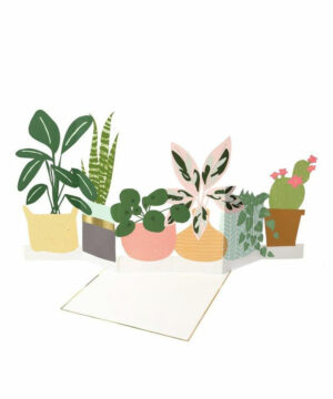 Potted Plant Concertina Card