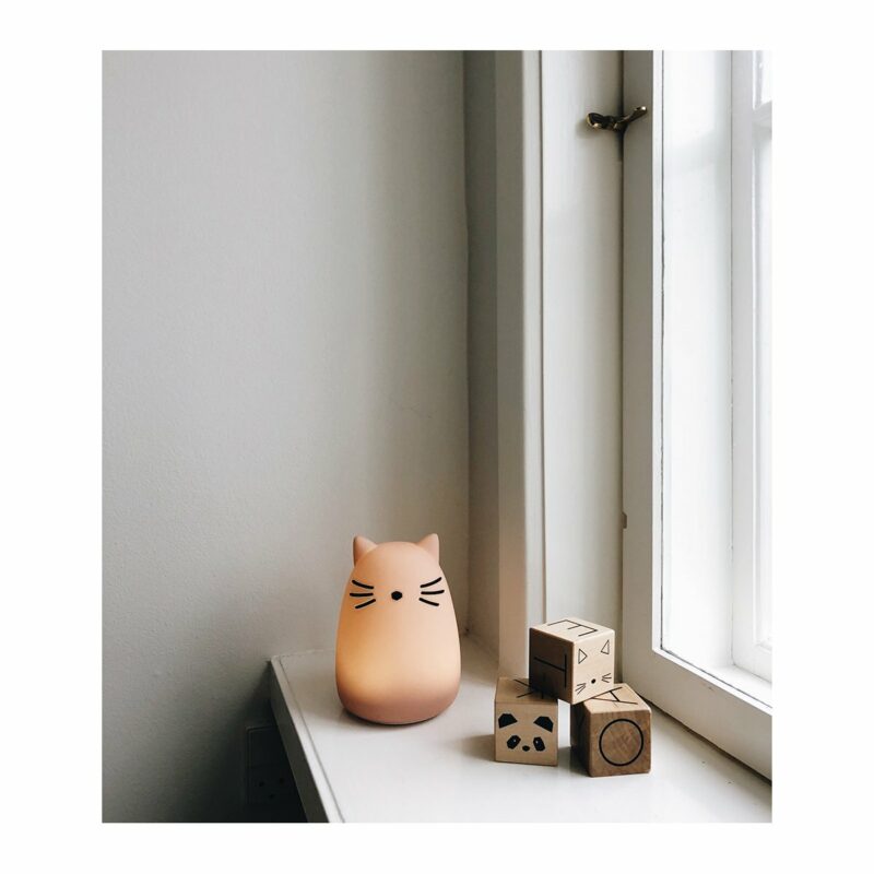 Winston Night Light - Cat rose