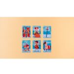 SAPIENS, HUMAN HISTORY CARDS