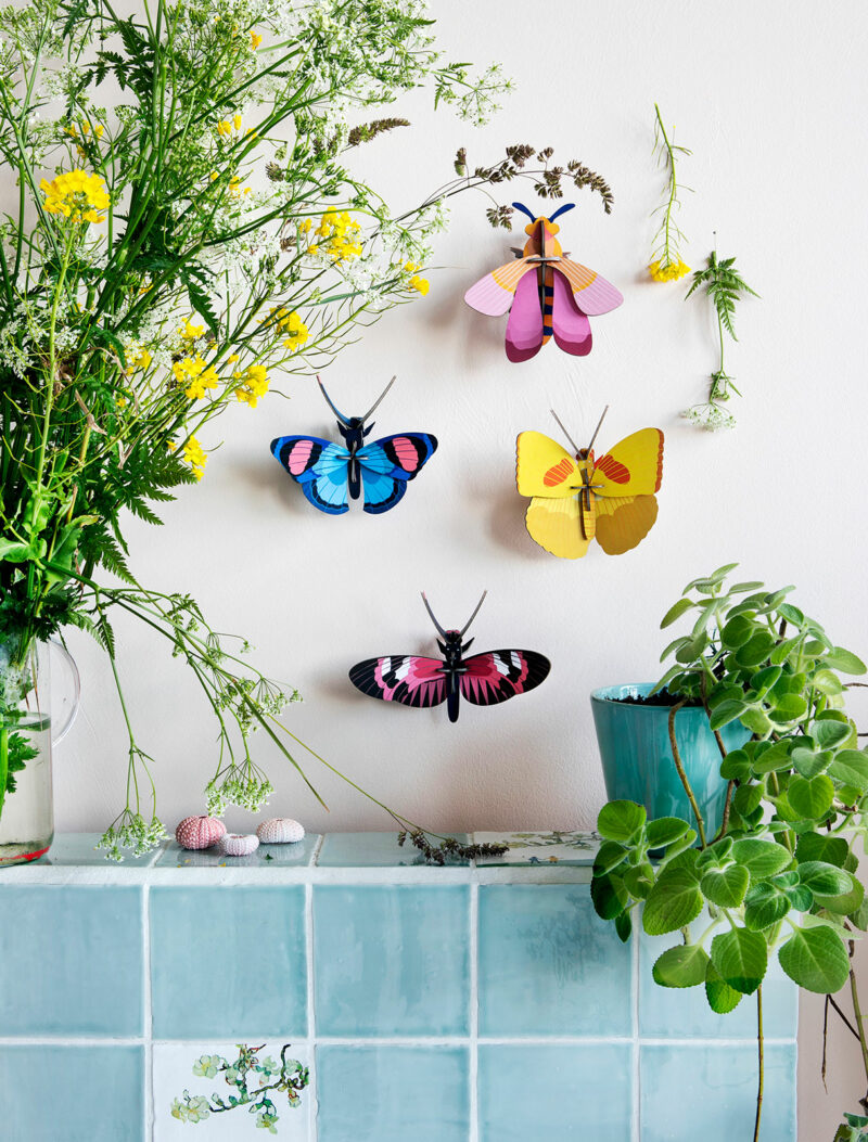 Studio Roof - longwing butterfly