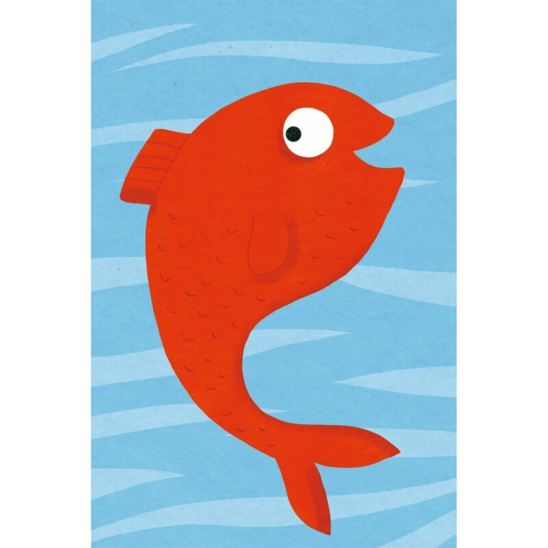 Kartenspiele: Spidifish von DJECO