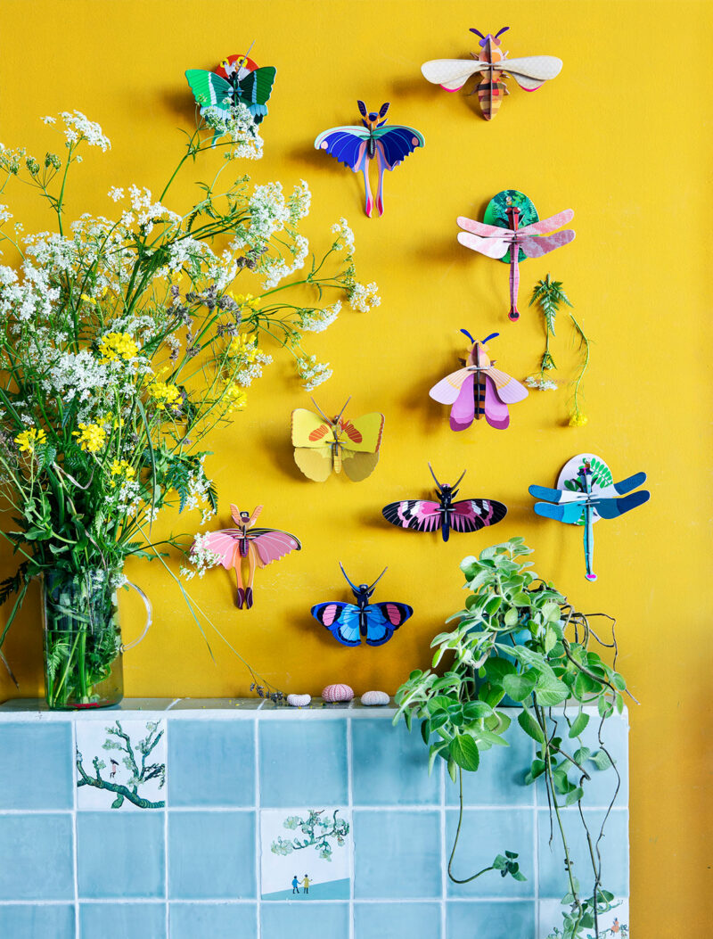 Studio Roof - peacock butterfly