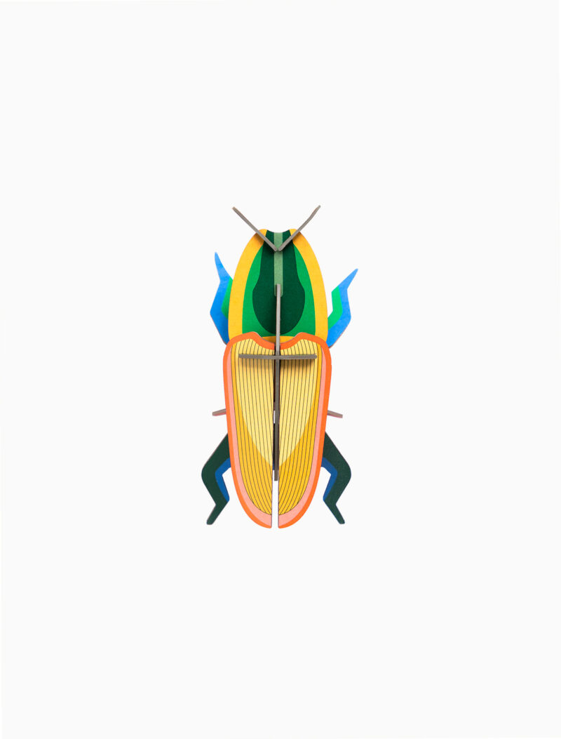 Studio Roof - Madagascar Beetle