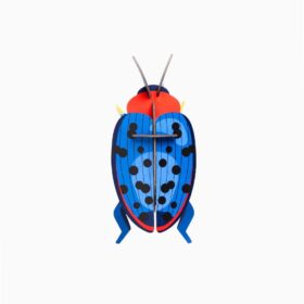 Studio ROOF - Fungus Beetle