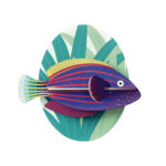 Studio ROOF - Six Line Wrasse