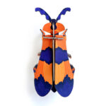 Studio ROOF - Winged Beetle