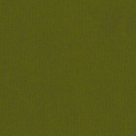 C.Pauli - Sweat Stoff - uni - cedar green