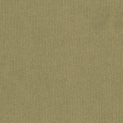 C.Pauli - Sweat Stoff - uni - slate green