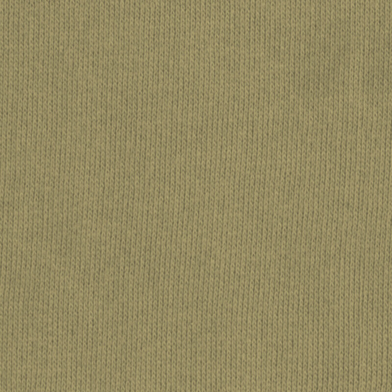 C.Pauli - Sweat Stoff - uni - slate green