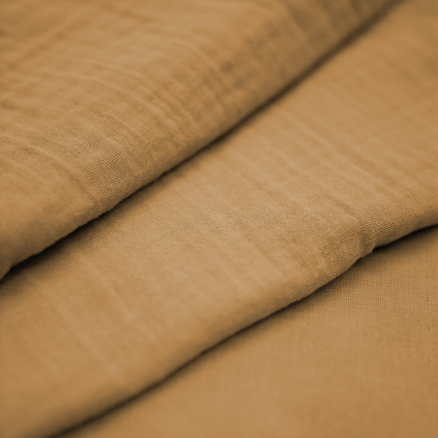 C.Pauli Musselin uni tan LottiKlein