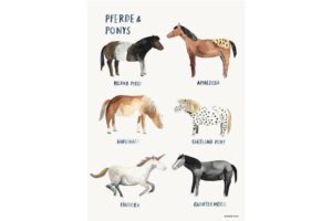 Gretas Schwester - Poster Pferde & Ponys