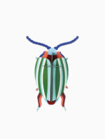 Studio ROOF - Small Insects - Rainbow Leaf Beetle