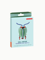 studio-roof-small-insects-rainbow-leaf-beetle-2