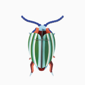Studio ROOF - Small Insects - Rainbow Leaf Beetle