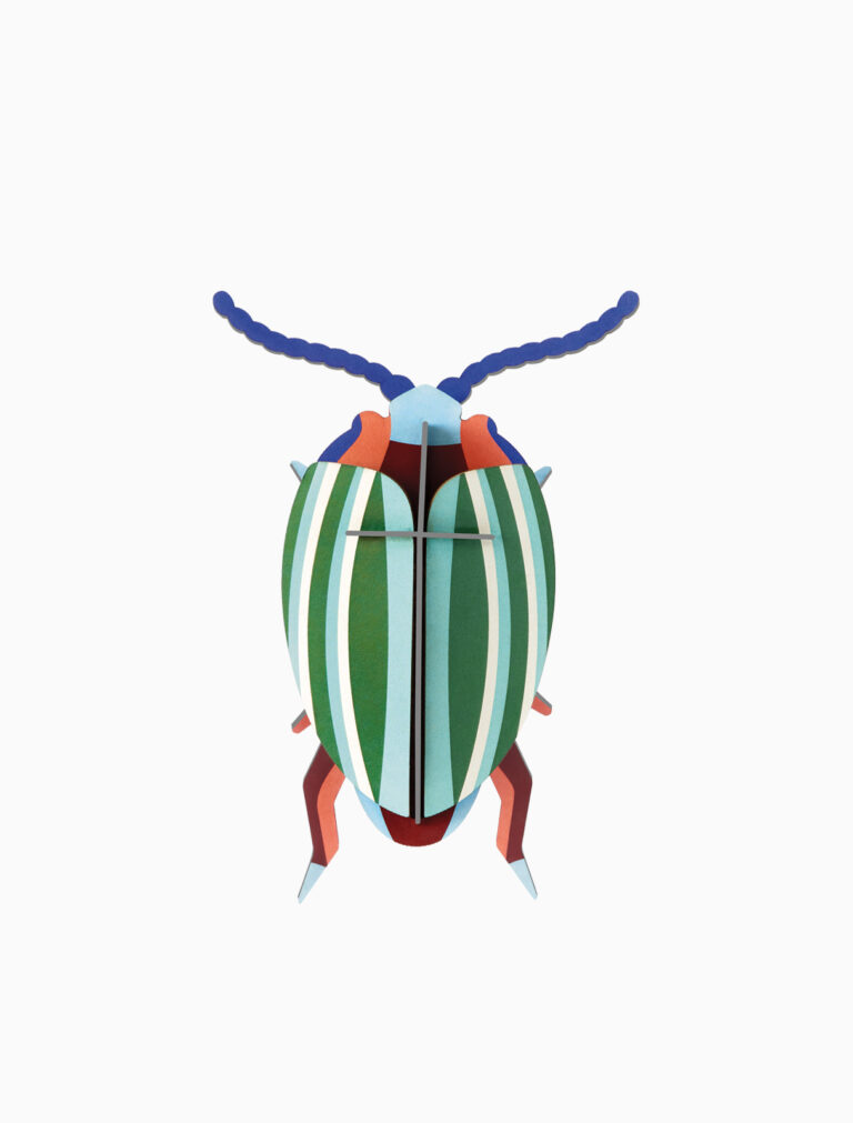 Studio ROOF - Small Insects - Rainbow Leaf Beetle