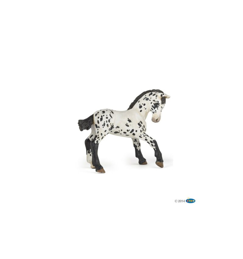 Papo Design - Appaloosa Fohlen schwarz