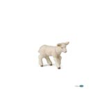 Papo Design - Merino-Lamm