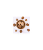 NUTTY THE WALNUT NUTTY THE WALNUT