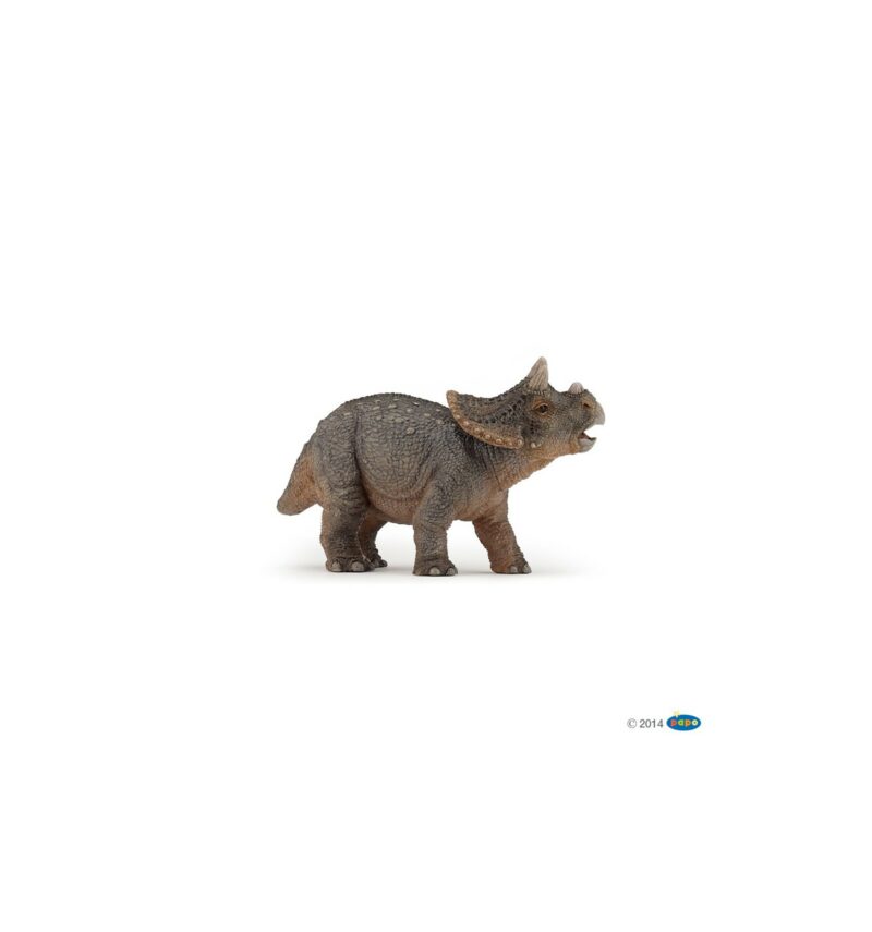 Papo Design - Baby Triceratops