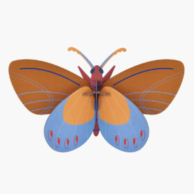 Studio ROOF - ochre costa butterfly