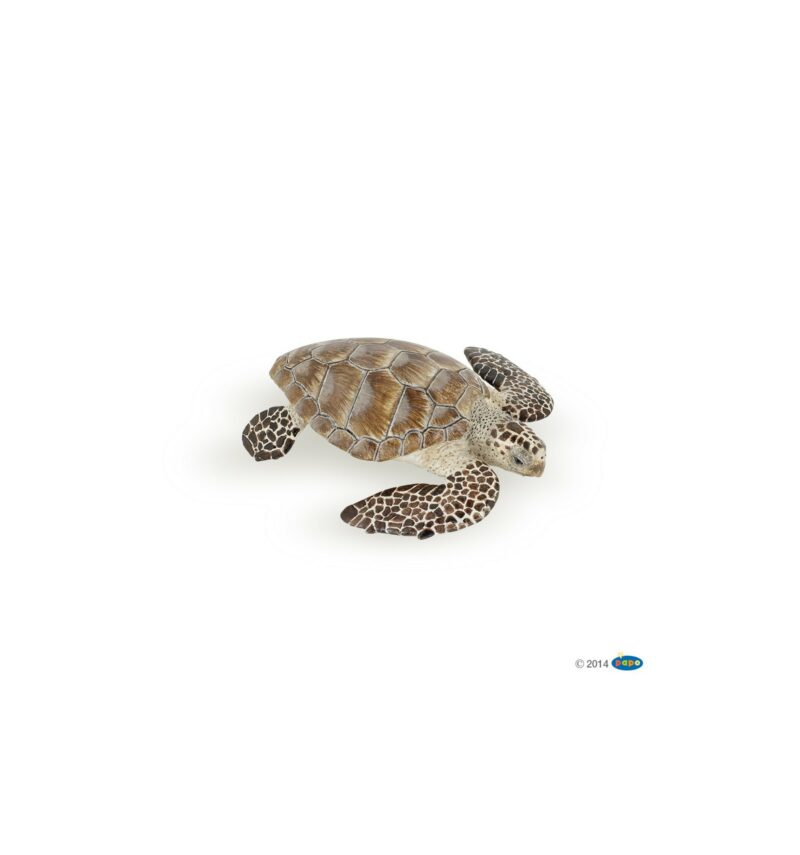Papo Design - Meeresschildkröte
