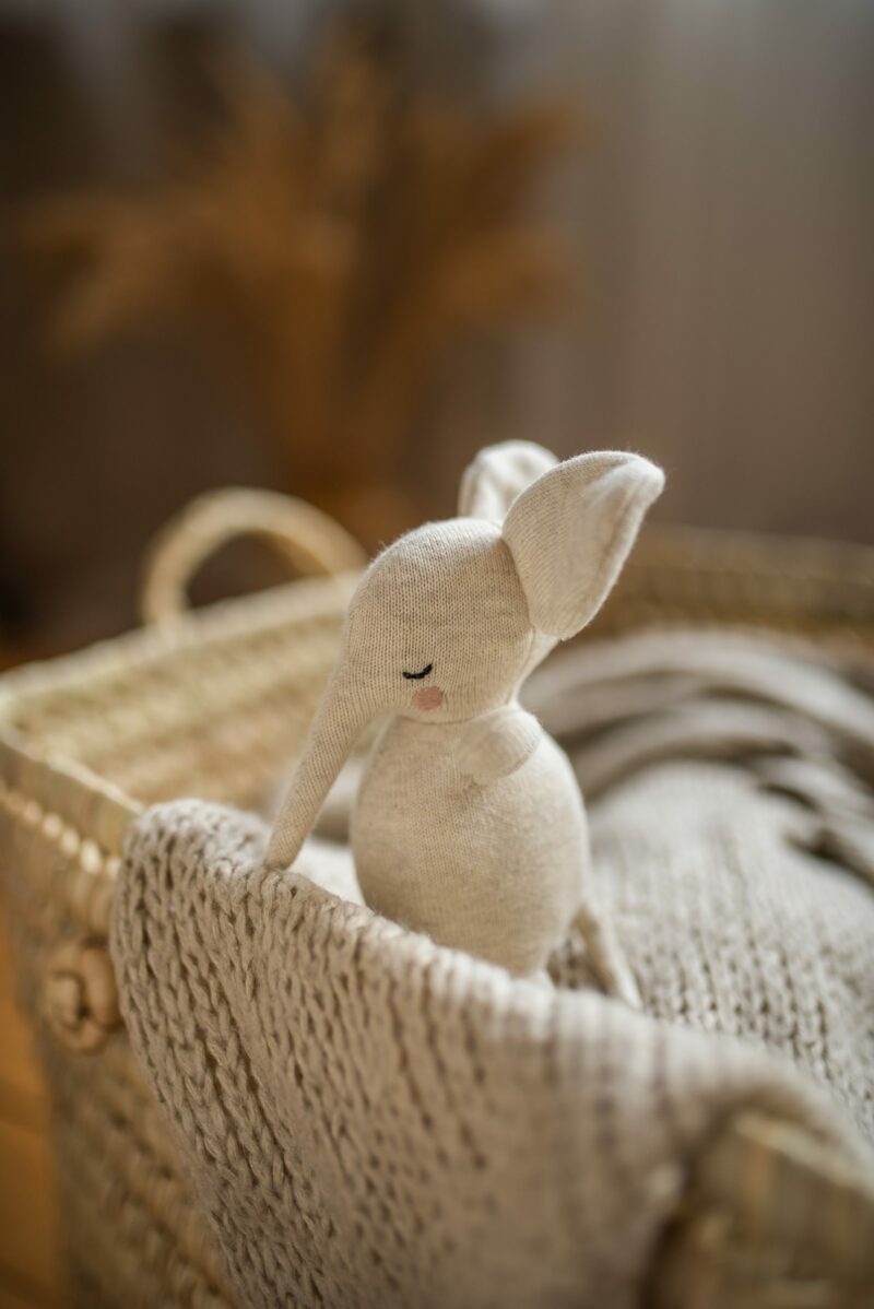Babyrassel Elefant – Bild 3